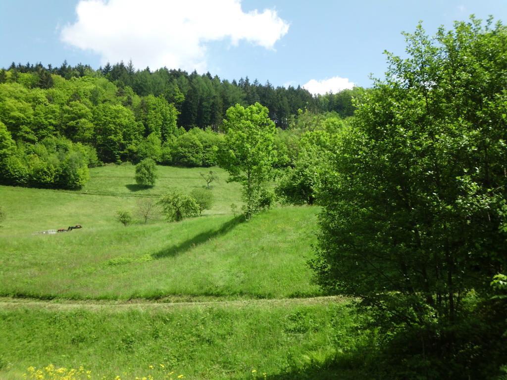 Finken, Gaestezimmer An Der Rench Oppenau Exterior photo